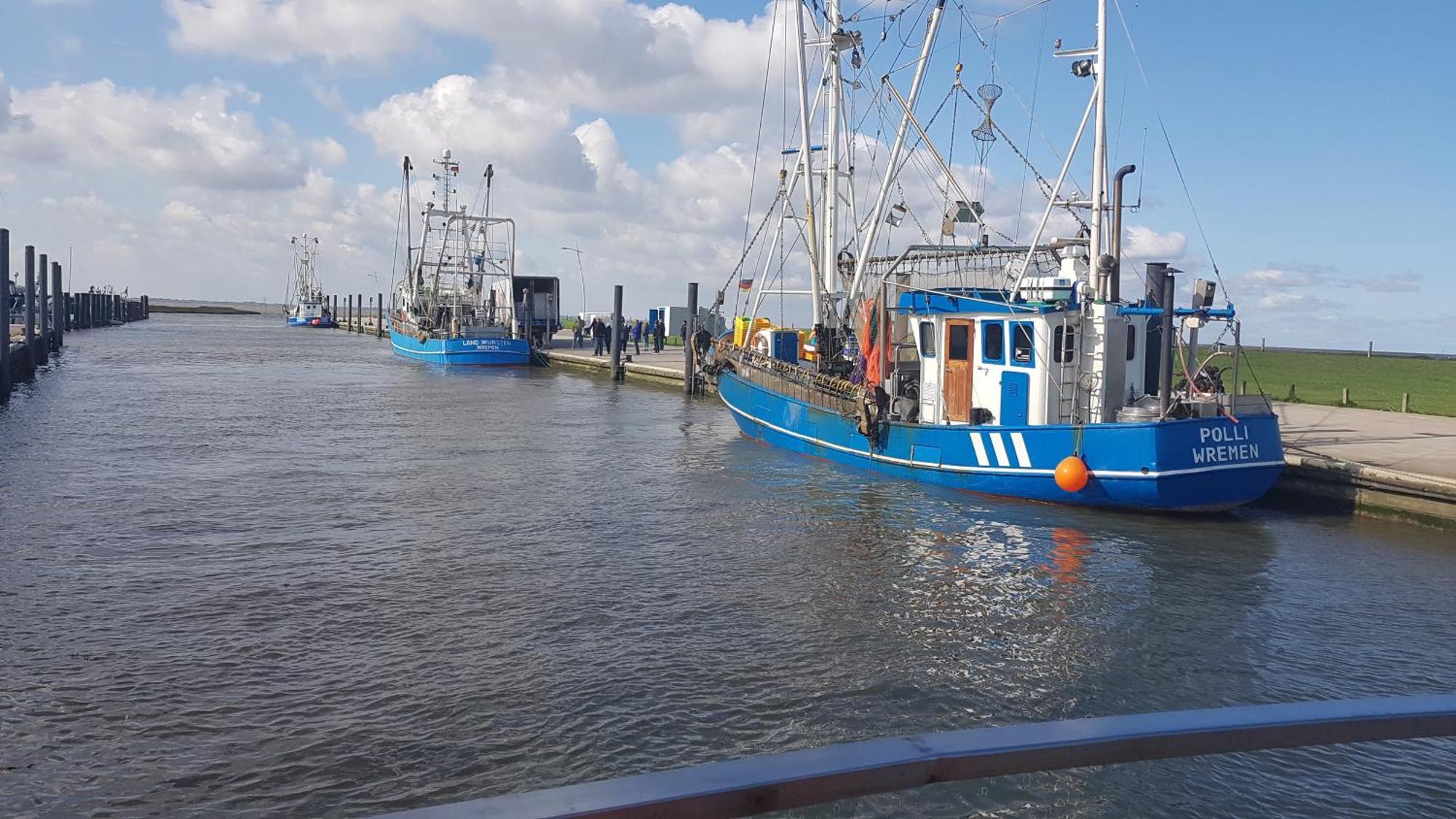 Ferienwohnung Alea, Zentrumsnah Bremerhaven Exterior photo